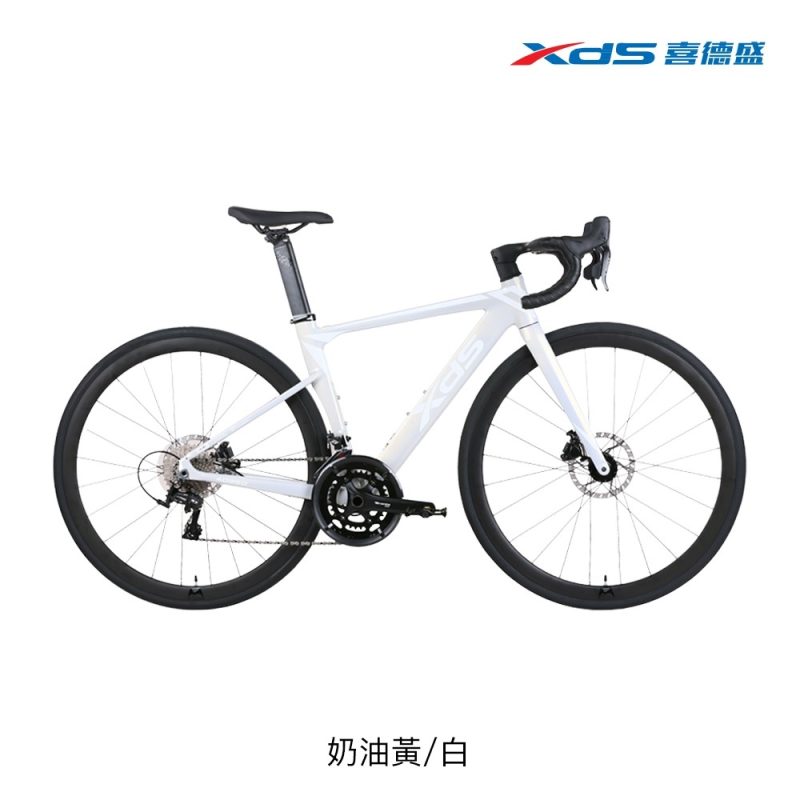 【小宇單車】XDS喜德盛 AD350 公路車  LTWOO油壓碟利 20速：圖片 7