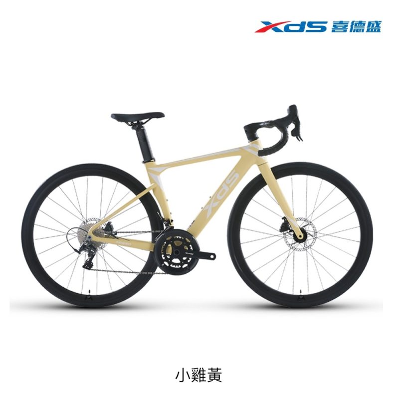 【小宇單車】XDS喜德盛 AD350 公路車  LTWOO油壓碟利 20速：圖片 11