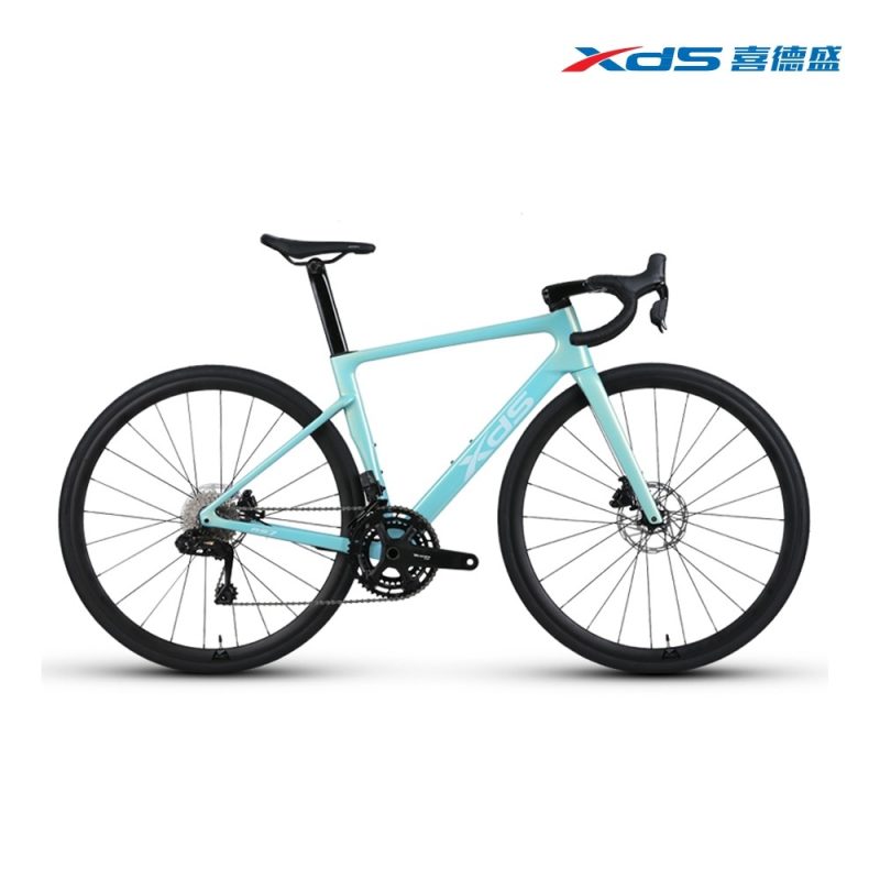 【小宇單車】XDS喜德盛 RS7 公路車 12速 全能碳纖維車款：圖片 12