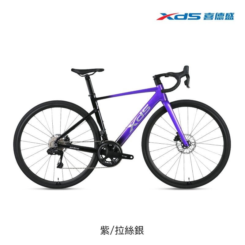 【小宇單車】XDS喜德盛 AD500 公路車 12速 全能碟煞鋁車款：圖片 8