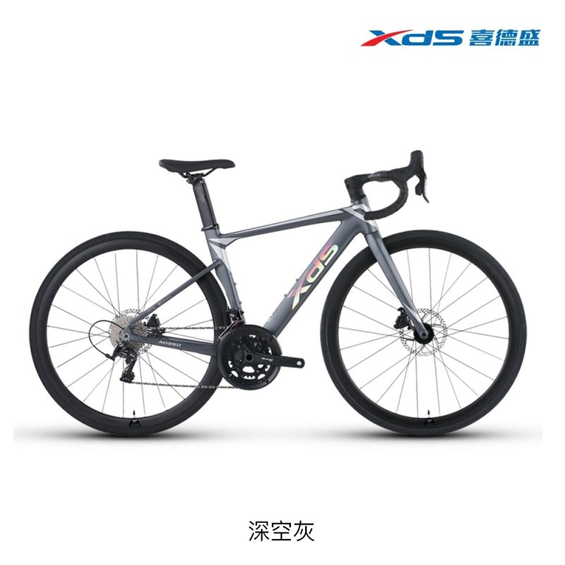 【小宇單車】XDS喜德盛 AD350 公路車  LTWOO油壓碟利 20速：圖片 9