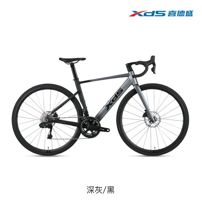 【小宇單車】XDS喜德盛 AD500 公路車 12速 全能碟煞鋁車款：圖片 9