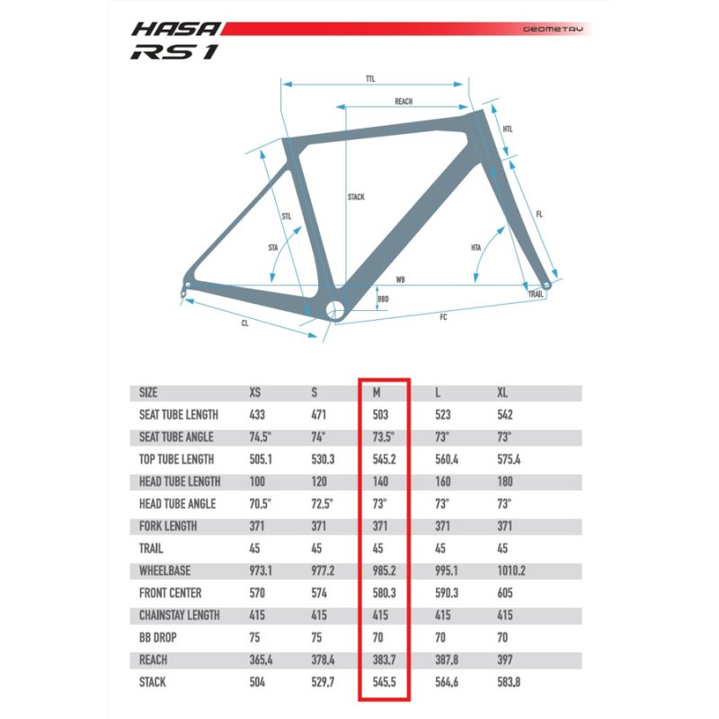 【小宇單車】HASA RS1 公路車架 白色M  碳纖車架：圖片 3